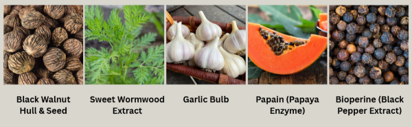 ParaMD Parasite Cleanse Australia Ingredients